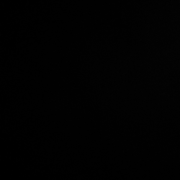 Meet your Posher, Lisa - Picture 1 of 1